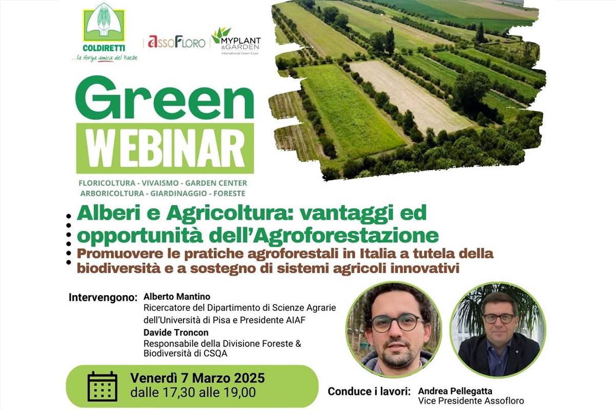 Green Webinar