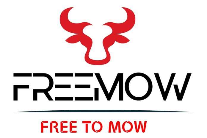 Freemow.it