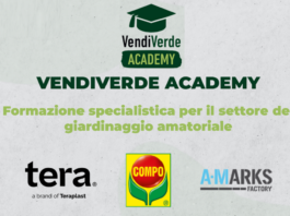 Vendiverde Academy