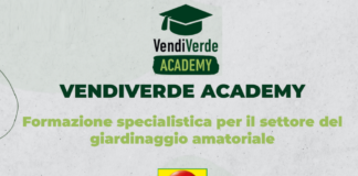 Vendiverde Academy