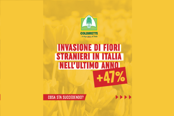 Basta fiori stranieri