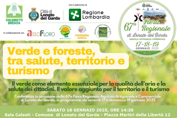 Verde e foreste fanno bene a salute