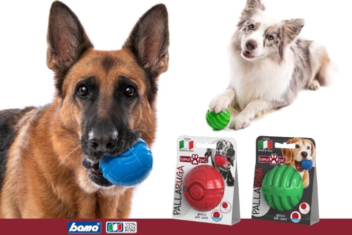 giochi per cani