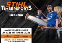 Stihl Timbersports World Championship